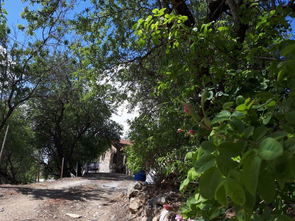 Agrompelo House Villa Agrósz Kültér fotó